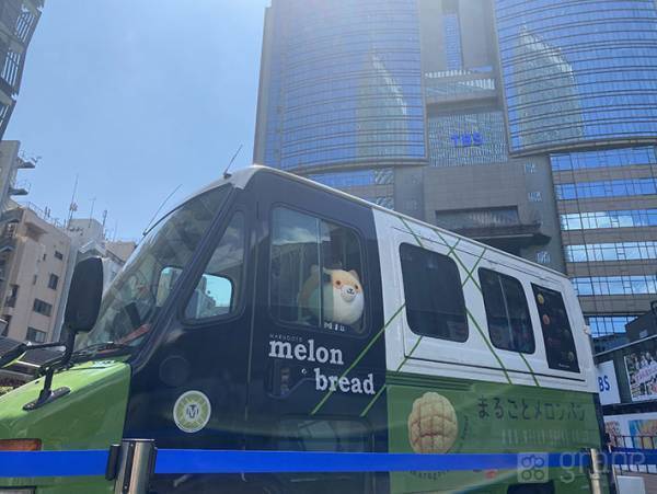 『TOKYO MER』『MIU404』『着飾る恋』人気ドラマの車が集結　あの自転車も！？