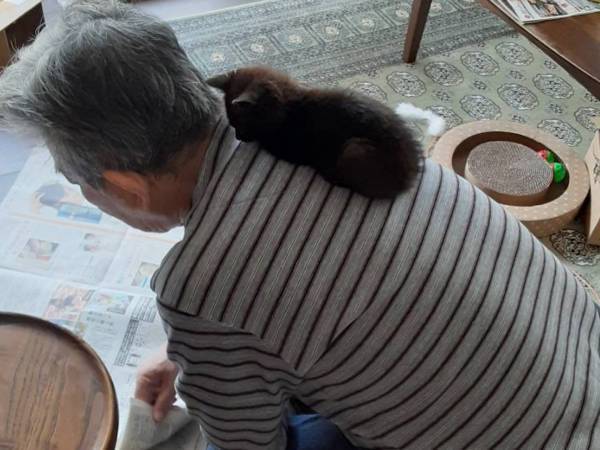 カラスから子猫を保護した父親　半年後との比較に「尊みの塊」「最高の２枚」