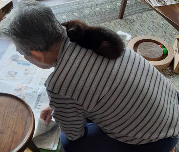 カラスから子猫を保護した父親　半年後との比較に「尊みの塊」「最高の２枚」