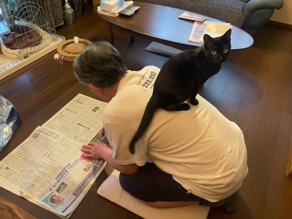 カラスから子猫を保護した父親　半年後との比較に「尊みの塊」「最高の２枚」