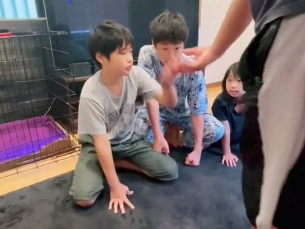 ドーベルマンに『お手』を教えるには？　子供４人がお手本を見せたら…