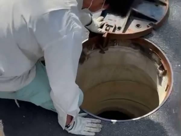 側溝から鳴き声が！　雨が降る中、新婚夫婦が必死に救助すると？