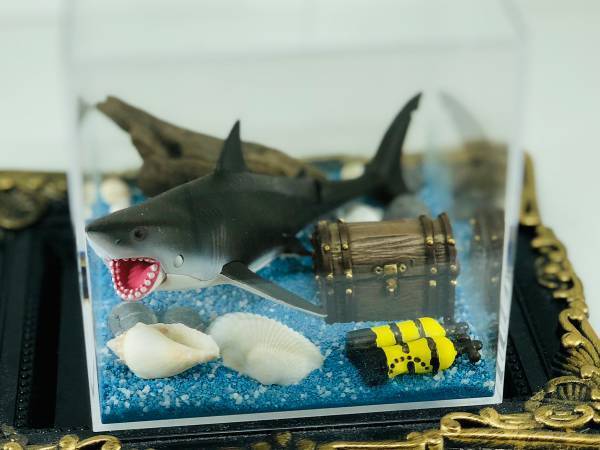 消臭ビーズを容器の中に入れて水を注ぐと？　驚きの変化に「感動しすぎて言葉が出ない」