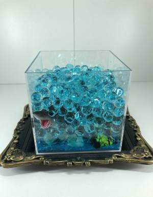 消臭ビーズを容器の中に入れて水を注ぐと？　驚きの変化に「感動しすぎて言葉が出ない」