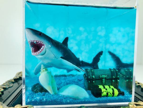 消臭ビーズを容器の中に入れて水を注ぐと？　驚きの変化に「感動しすぎて言葉が出ない」