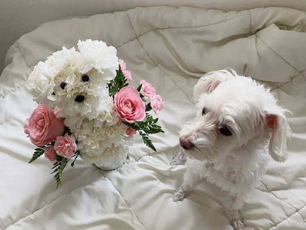 恋人から記念日に贈られたフラワーアレンジメント　投稿者が特に感激した理由