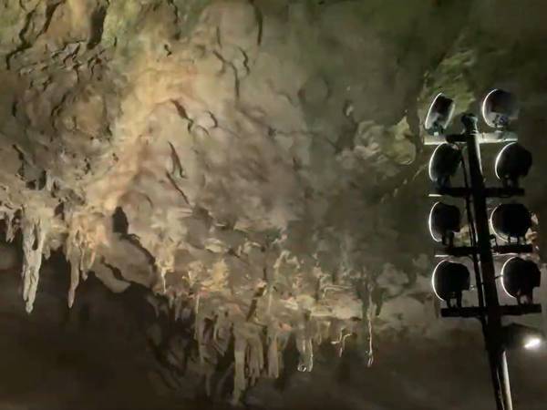 鍾乳洞の照明がおかしくなって？「フェスが始まった」「フロア湧かせようぜ！」