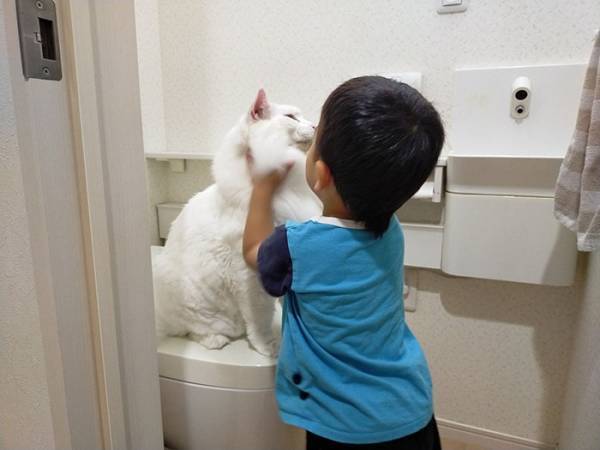 トイレをめぐる猫vs３歳児の戦い！　その様子に「爆笑した」「なんて平和な争い」