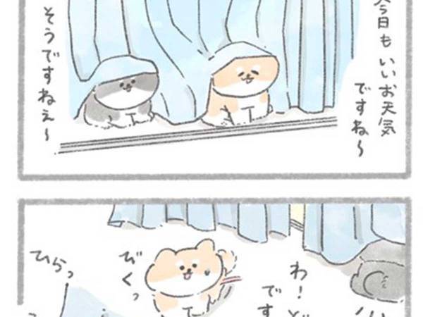 「涙腺崩壊」「泣いてしまう」　突然現れた黒い犬、愛犬が一緒に遊んでいると…