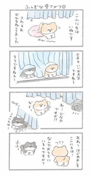 「涙腺崩壊」「泣いてしまう」　突然現れた黒い犬、愛犬が一緒に遊んでいると…