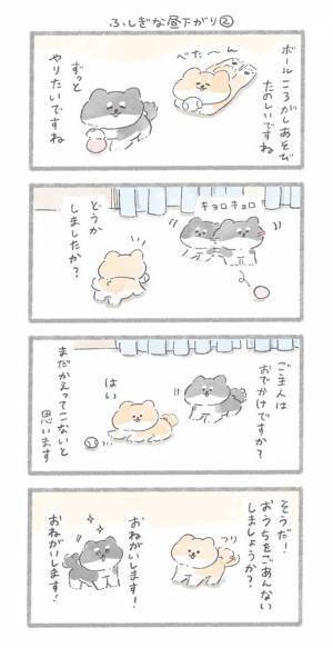 「涙腺崩壊」「泣いてしまう」　突然現れた黒い犬、愛犬が一緒に遊んでいると…