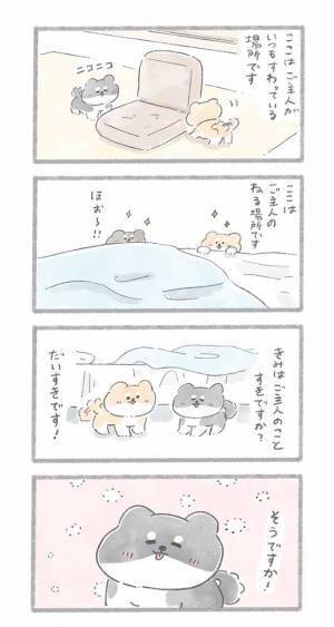 「涙腺崩壊」「泣いてしまう」　突然現れた黒い犬、愛犬が一緒に遊んでいると…