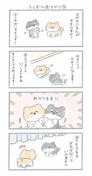 「涙腺崩壊」「泣いてしまう」　突然現れた黒い犬、愛犬が一緒に遊んでいると…