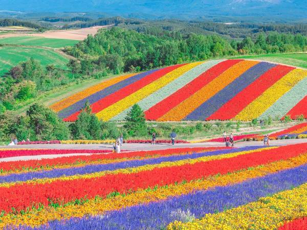 「なんて美しいの」「信じられないぐらいきれい」　息をのむ北海道の風景とは