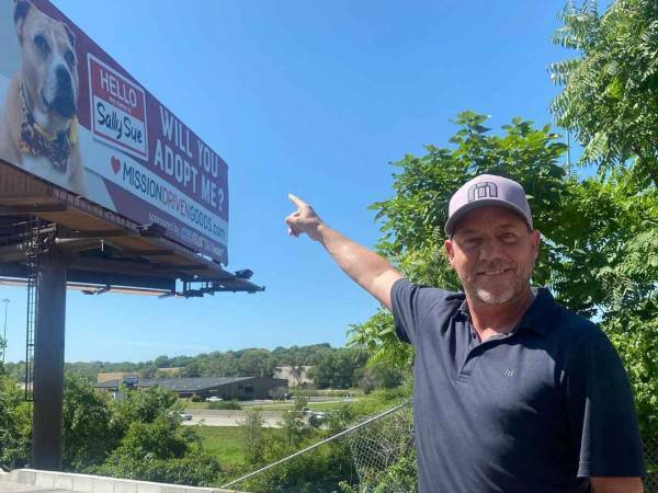 この犬を見て！　道路沿いに登場した巨大な広告に　「素晴らしいアイディア」