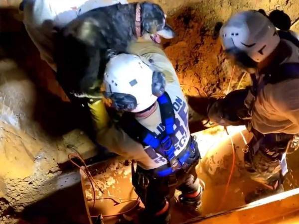 道路に開けられた大きな穴　中から出て来たのは？　「泣いた」「言葉が出ない」