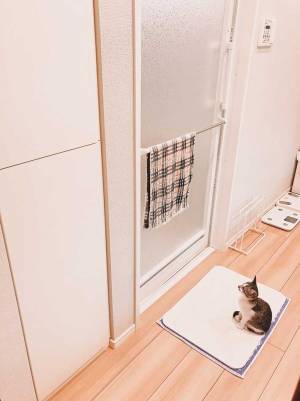 風呂場前の光景に、１２万人の目がハート！　足元を見ると…？