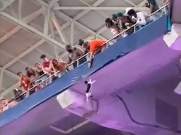 アメフトの試合中、２階席から猫が落ちた！　ところがその直後…？