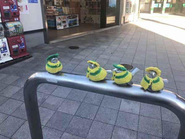 「癒された」「超かわいい」　江の島で見つけた『誰かの優しさ』に心温まる