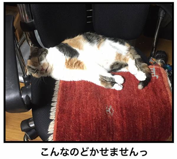 イスに座ろうとしたら…男性の身に起きた出来事に、笑いがこみ上げる！