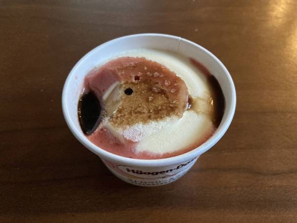 アイスに『アレ』をかけるとおいしいらしいのでハーゲンダッツで試してみた
