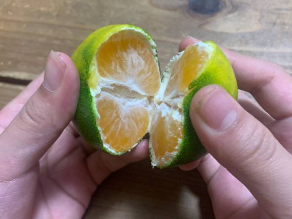 もうこのむき方しかできない！手を汚さずにミカンを食べる方法