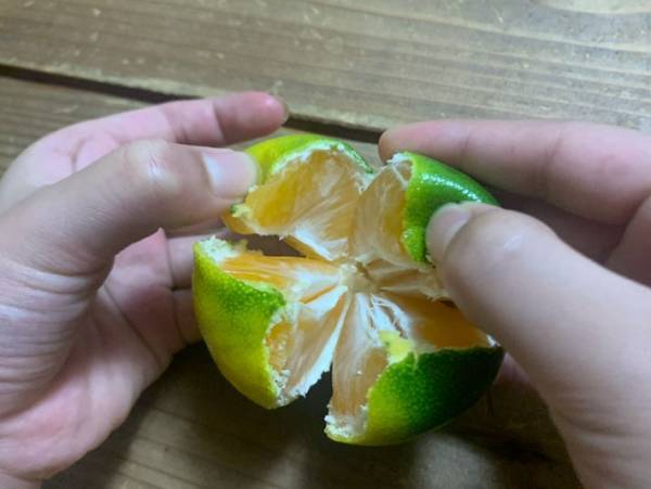 もうこのむき方しかできない！手を汚さずにミカンを食べる方法