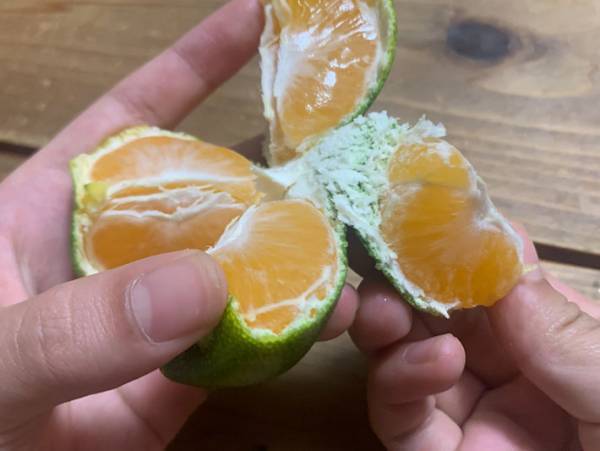 もうこのむき方しかできない！手を汚さずにミカンを食べる方法