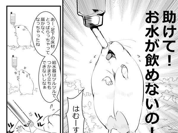 「水が飲めない！」とSOSを出すハムスター　まさかの行動に「そうじゃない」「笑った」
