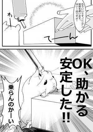 「水が飲めない！」とSOSを出すハムスター　まさかの行動に「そうじゃない」「笑った」