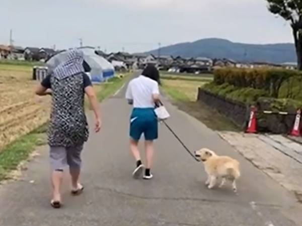 「明らかにおばあちゃんじゃないんだよなあ…」　犬と一緒に歩く人の正体は？