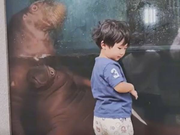 「息子のトラウマが確定しました」　水族館での『一幕』に大人も震える