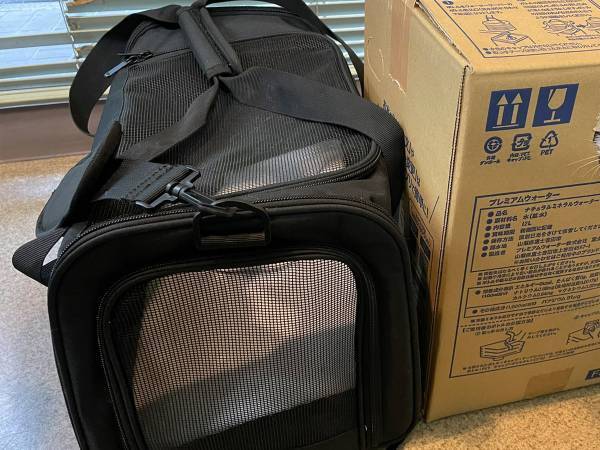 キャリーバッグに入らない猫　飼い主の作戦に「この発想は笑う」「表情が最高」