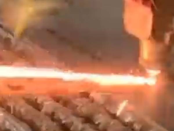 溶接の現場にいた１匹のカマキリ　見せた行動に「世界を救いそう」「なんて動きを…」