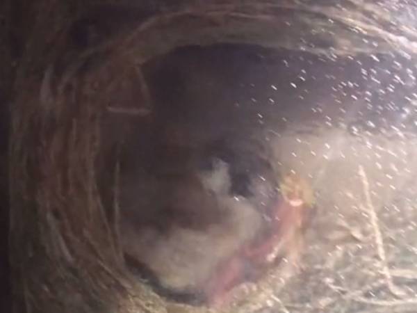 「こんな経験ができる人、世の中に何人いるんだろう」　ある日、窓を見たら？