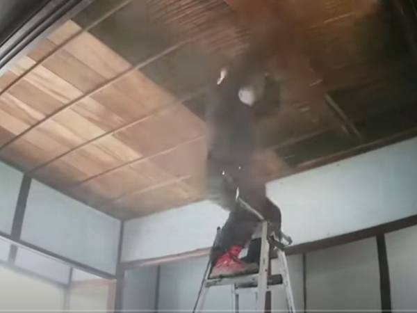 築１００年超の物件を、自分でリフォームしたら？　「素人と思えない」「すごすぎて真似できない」