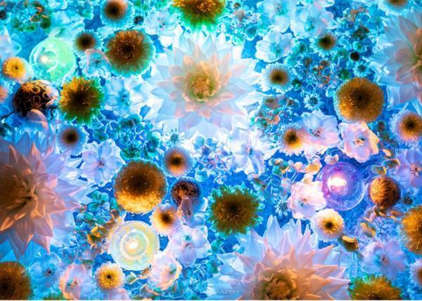 神社で見かけた、手水に花が浮かぶ光景が？　「目を見張った」「うっとり」