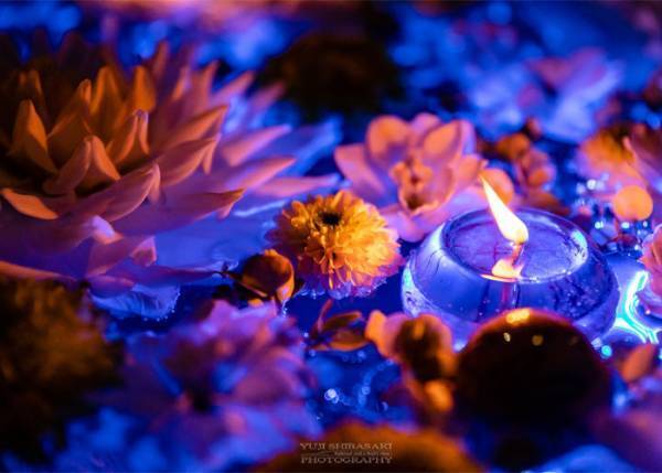 神社で見かけた、手水に花が浮かぶ光景が？　「目を見張った」「うっとり」