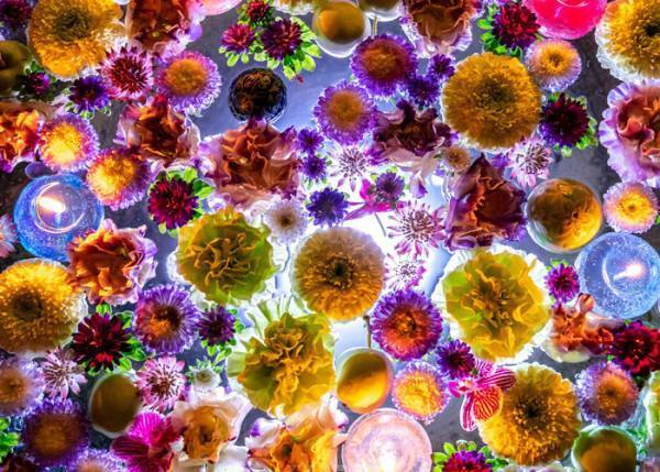 神社で見かけた、手水に花が浮かぶ光景が？　「目を見張った」「うっとり」