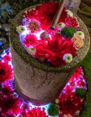 神社で見かけた、手水に花が浮かぶ光景が？　「目を見張った」「うっとり」