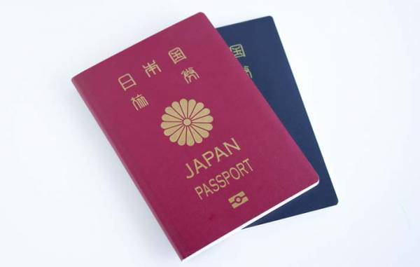 『日本の国花』の菊　その美しさ、艶やかさに心奪われる