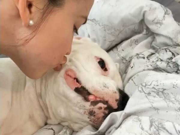 愛犬にキスをしようとしたら？　犬のリアクションに爆笑！