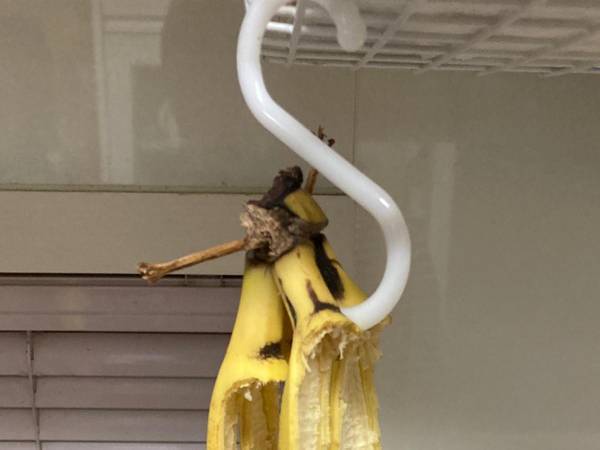 地震の被害報告に、なぜか爆笑する人が続出　現場写真に「こんなん笑う」「甚大な被害」