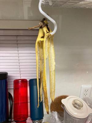 地震の被害報告に、なぜか爆笑する人が続出　現場写真に「こんなん笑う」「甚大な被害」