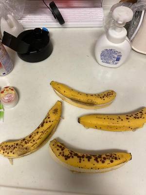 地震の被害報告に、なぜか爆笑する人が続出　現場写真に「こんなん笑う」「甚大な被害」