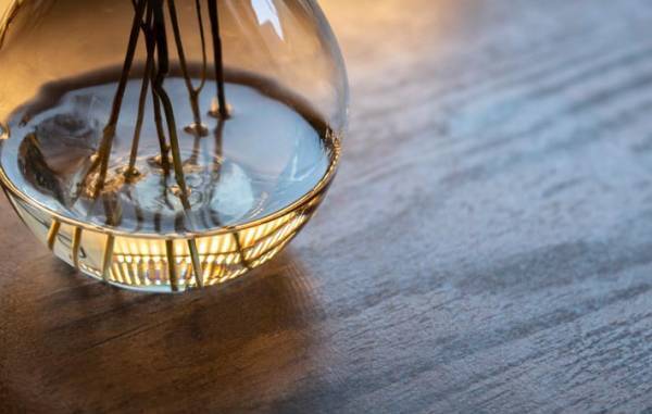 私たちの心には、『物語』が必要　恐れや悲しみを受け入れるために、心の奥にパラレルワールドを描く