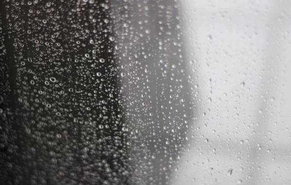 私たちの心には、『物語』が必要　恐れや悲しみを受け入れるために、心の奥にパラレルワールドを描く