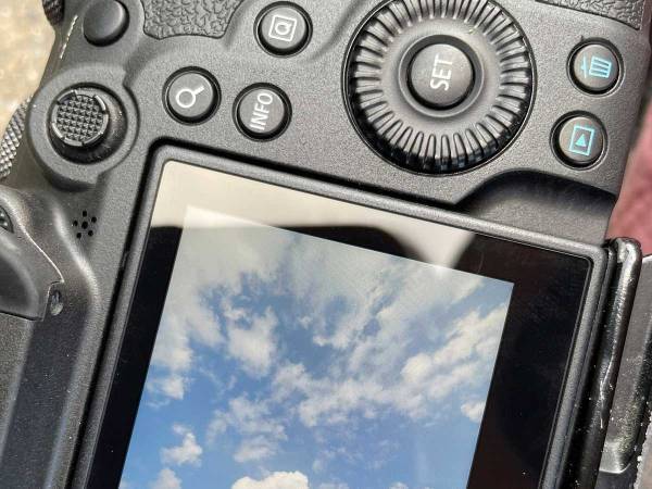 「かわいい恐竜が撮れました」　２２万人が癒された１枚がコチラ