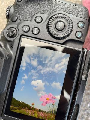 「かわいい恐竜が撮れました」　２２万人が癒された１枚がコチラ