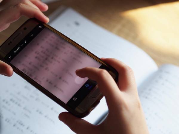 アレクサに『柿の英訳』を質問したら？　回答に「これは笑う」「渾身のボケか？」